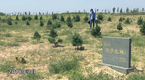 1560326163.jpg 20180701002.jpg