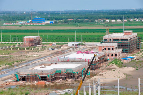 1560478772.jpg 20090824c.jpg