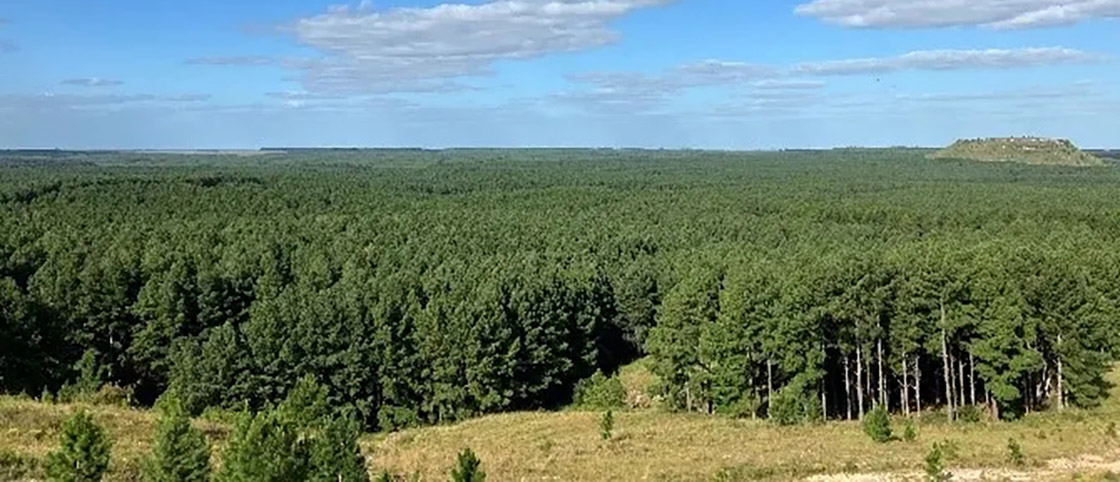 1716515086757230.jpg 640_wx_fmt=jpeg&from=appmsg&tp=webp&wxfrom=5&wx_lazy=1&wx_co=1.webp.jpg