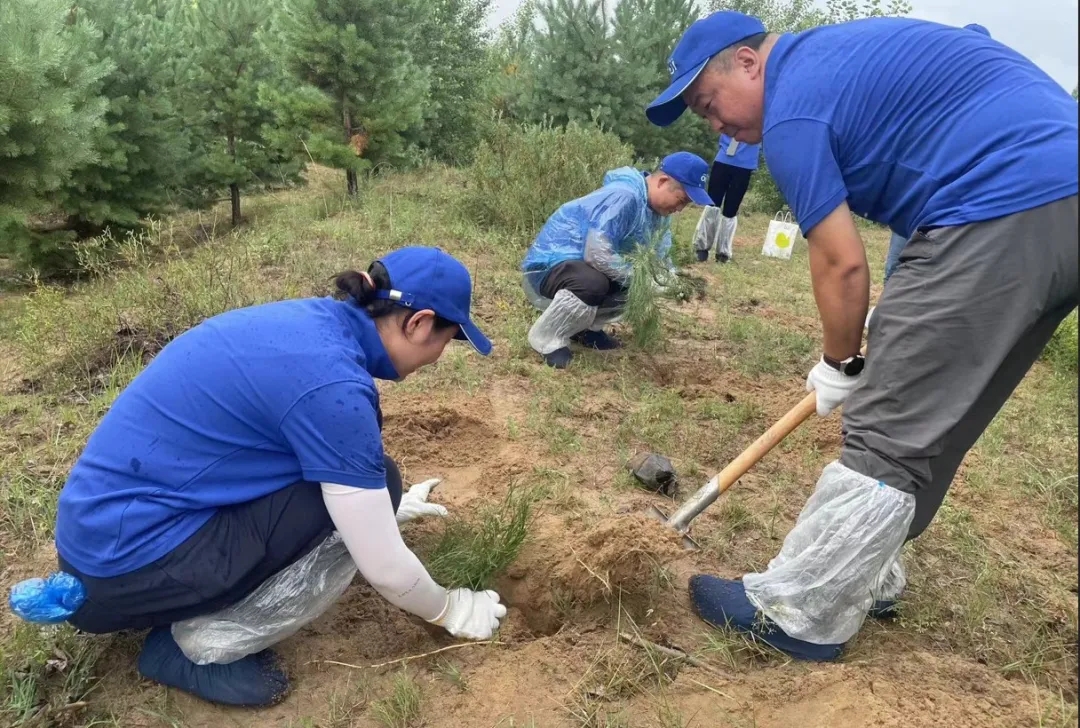 1719801289827199.jpg 640_wx_fmt=jpeg&from=appmsg&tp=webp&wxfrom=5&wx_lazy=1&wx_co=1.webp (8).jpg