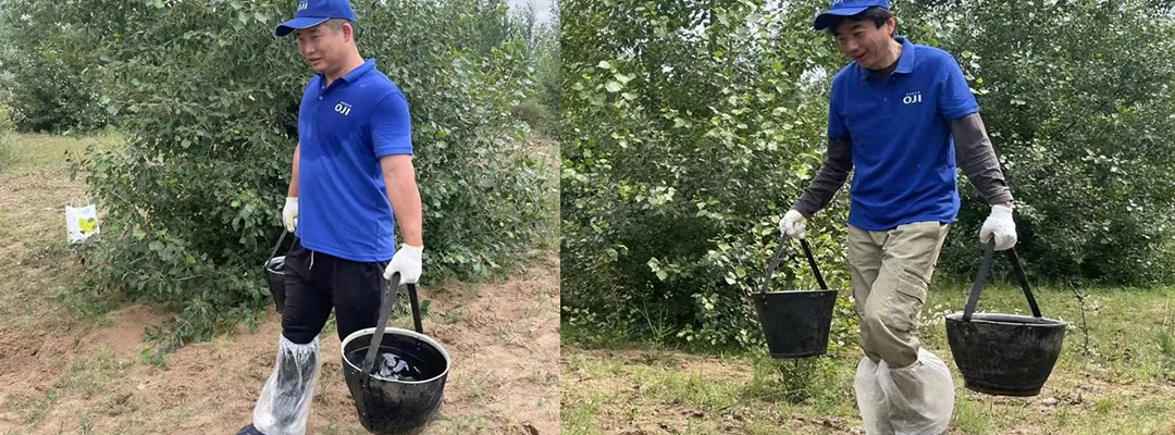 1719801458139039.jpg 2.jpg