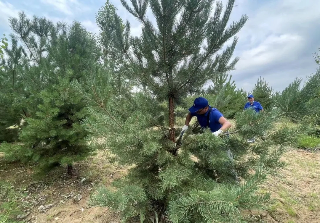 1719801491273811.jpg 640_wx_fmt=jpeg&from=appmsg&tp=webp&wxfrom=5&wx_lazy=1&wx_co=1.webp (14).jpg