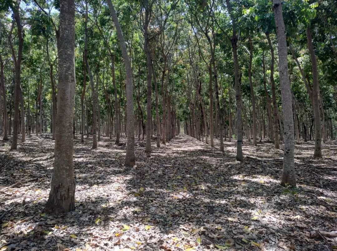 1752827579386425.jpg 640 (1).jpg