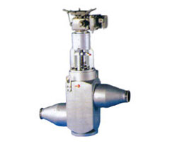 �ߜظ߉����{���y