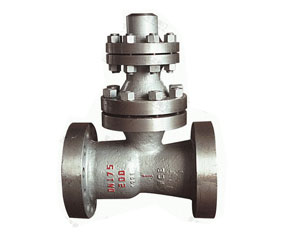 ����ֹ���y